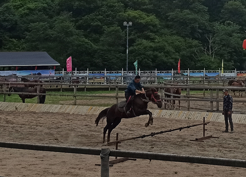 世凯众源 世凯众源