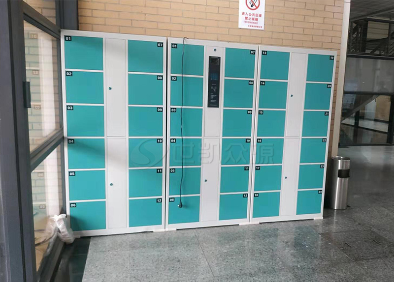 密码+刷卡存包柜